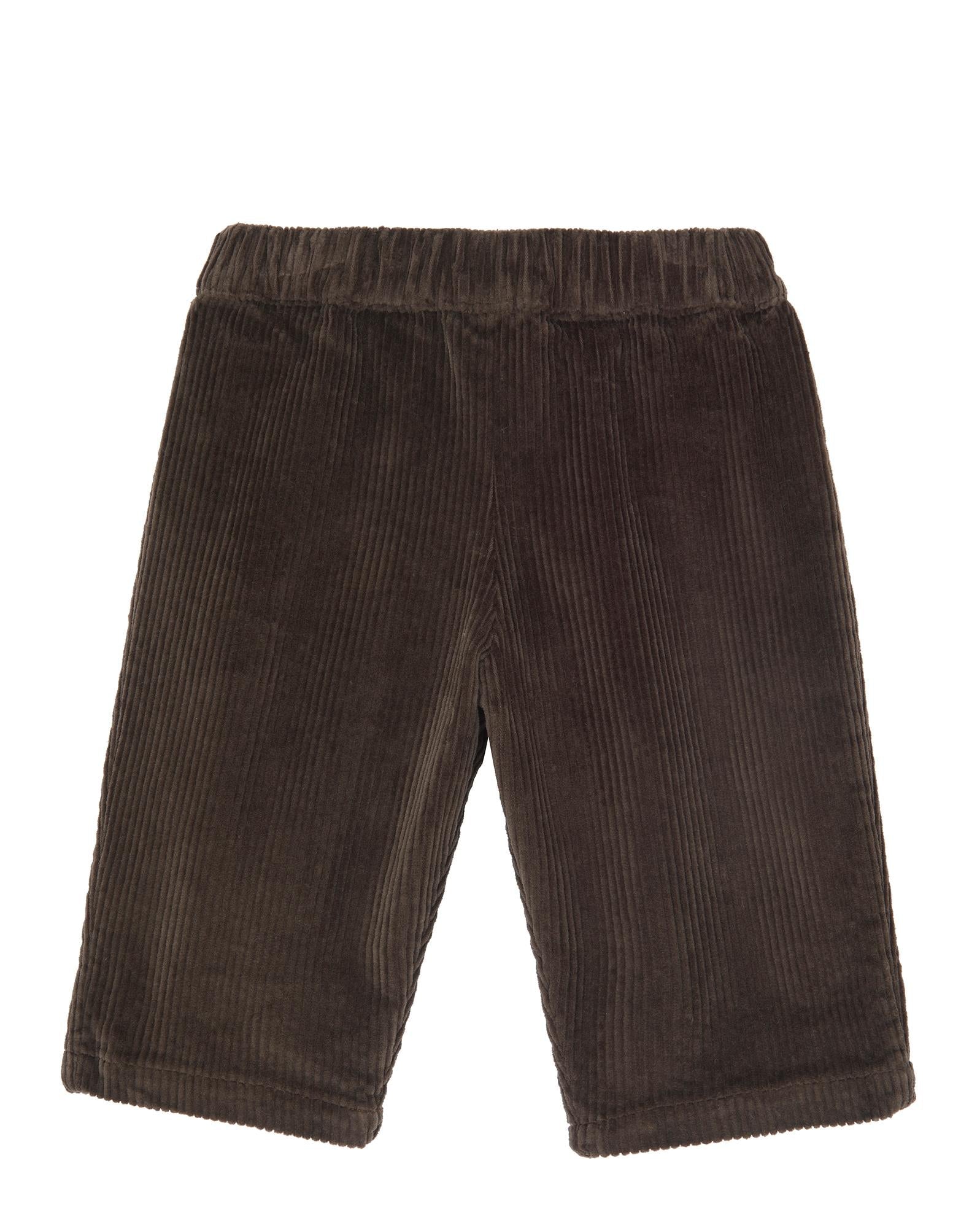 Pantalon Gino marron Bébé en velours
