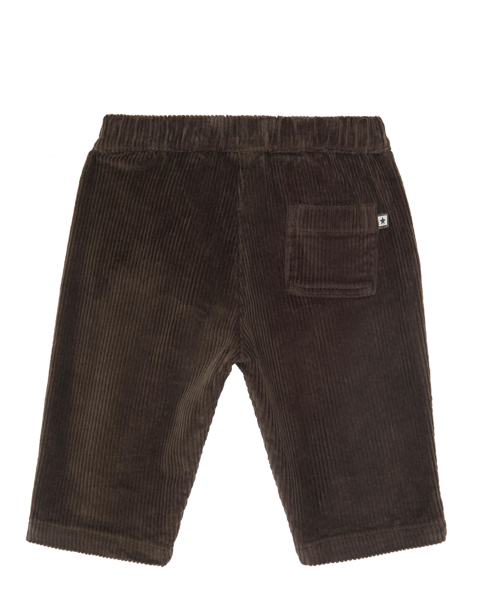 Pantalon Gino marron Bébé en velours
