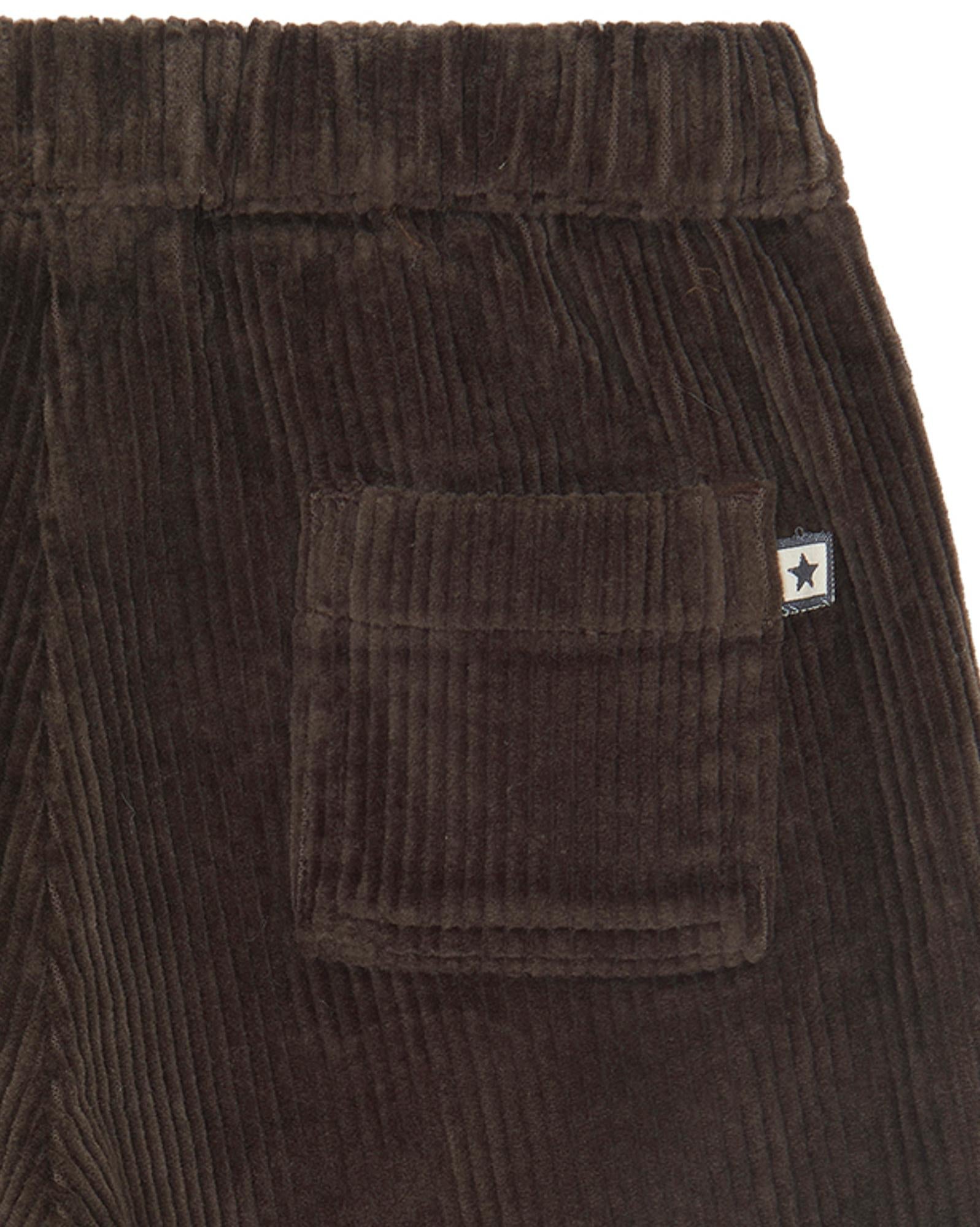 Pantalon Gino marron Bébé en velours