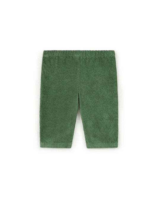 Pantalon Gino vert Bébé en velours