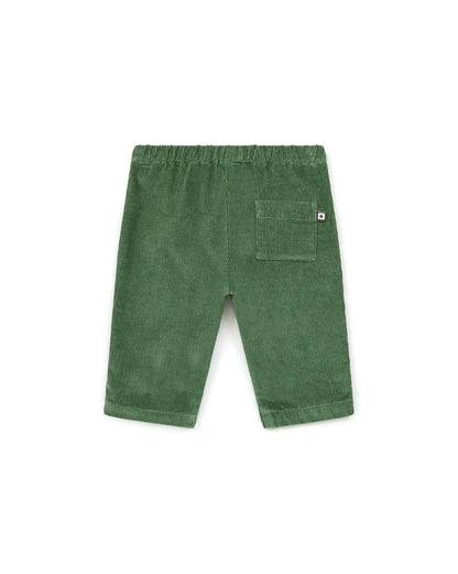 Pantalon Gino vert Bébé en velours