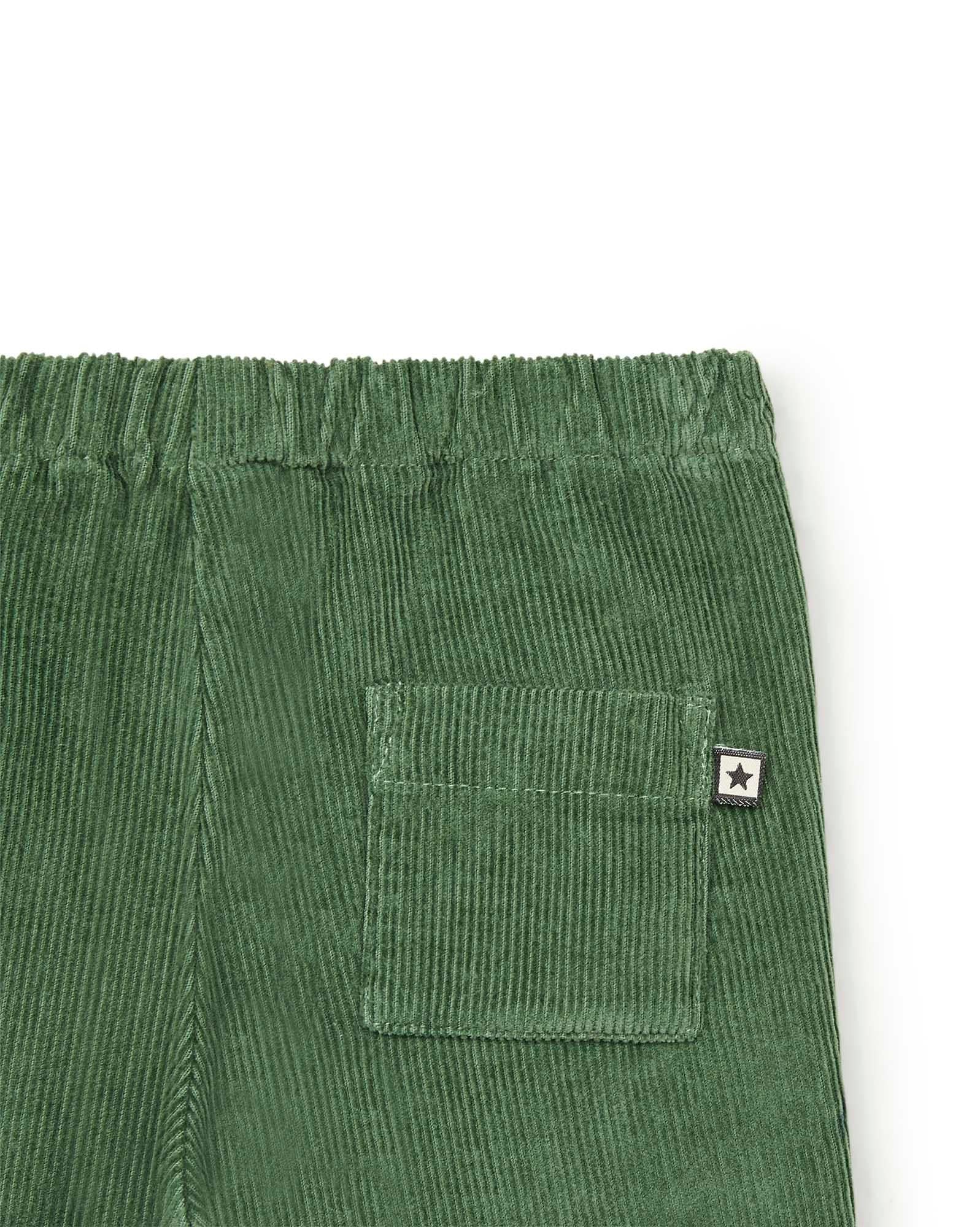 Pantalon Gino vert Bébé en velours