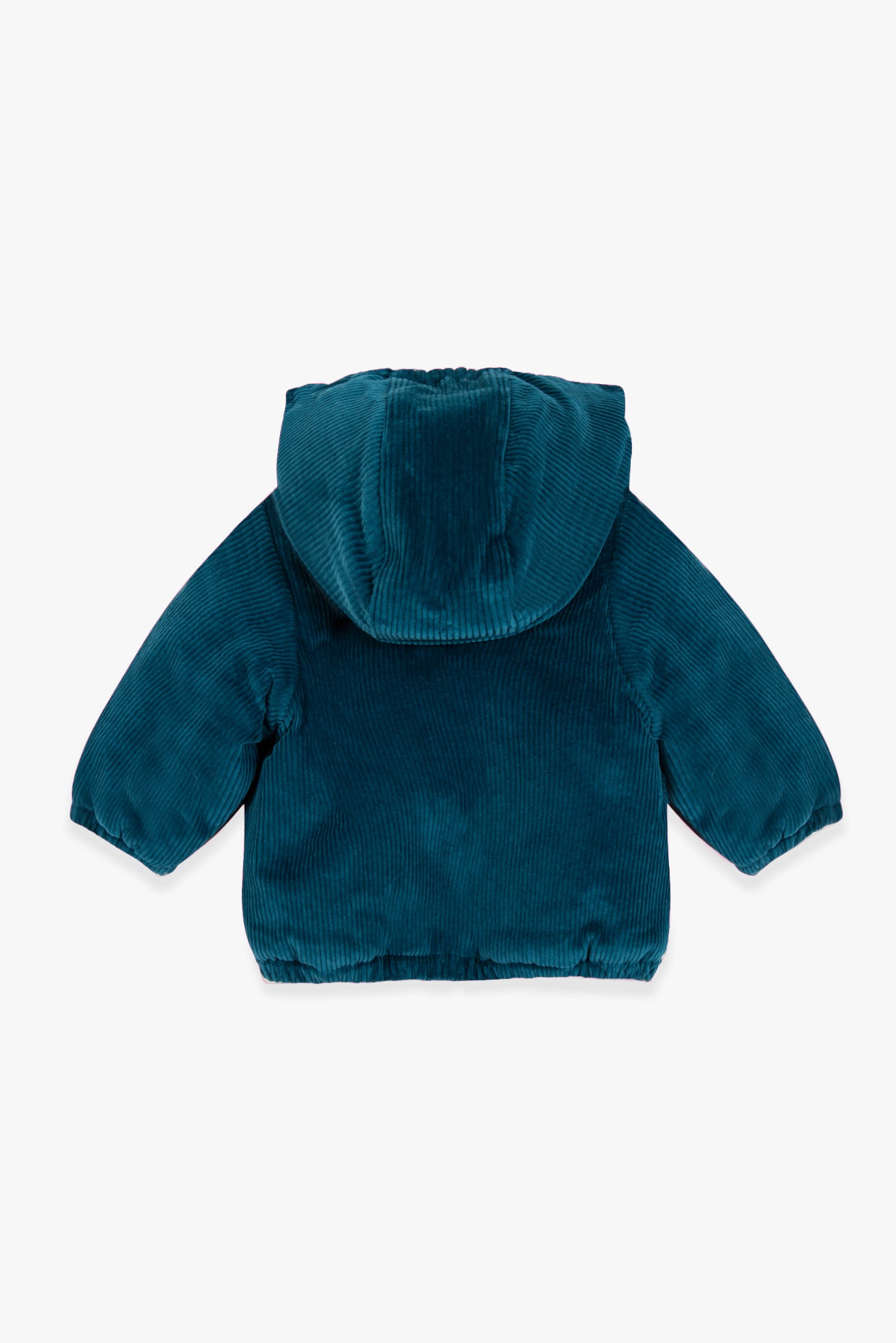 Veste - Goupil navy bonton