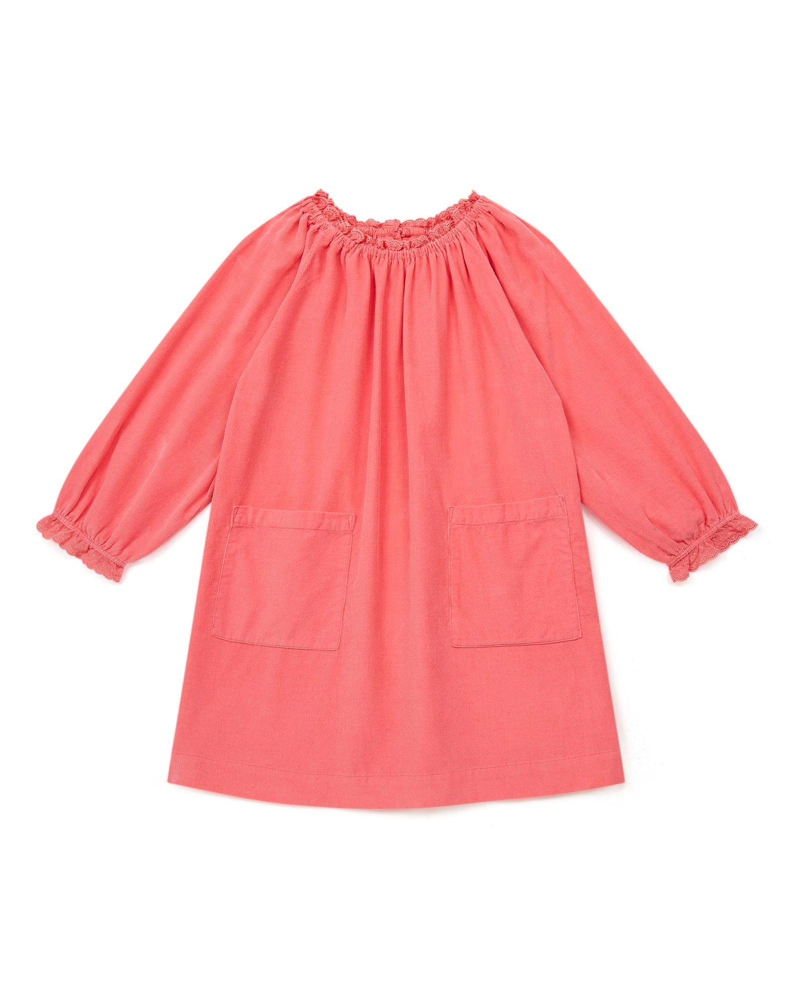 Robe Dahlia rose en velours