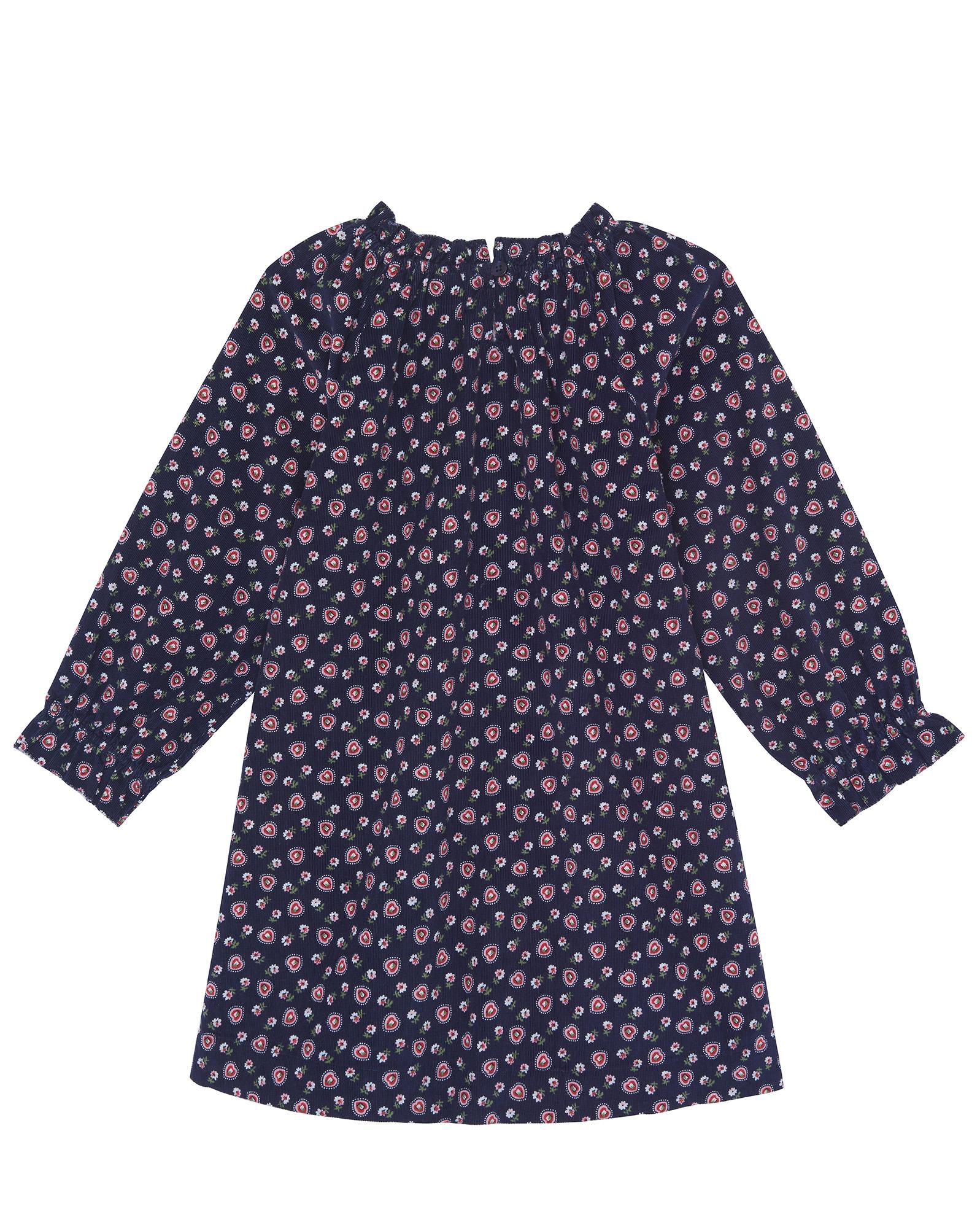 Robe Dahlia bleue en velours