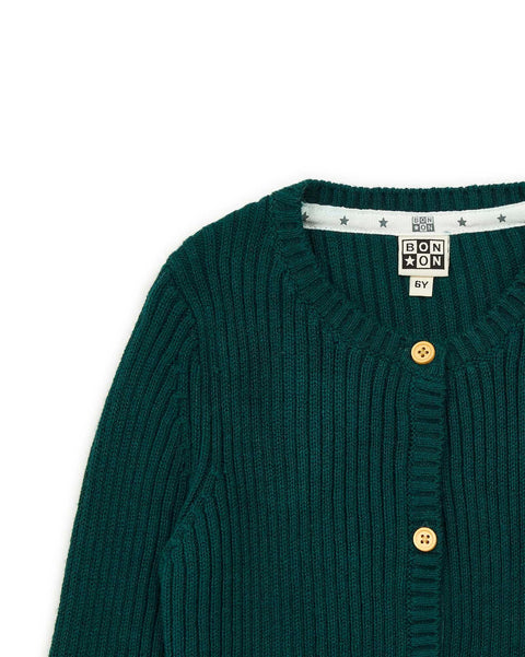 Cardigan - Sheep Green in rib knitting - Image principale