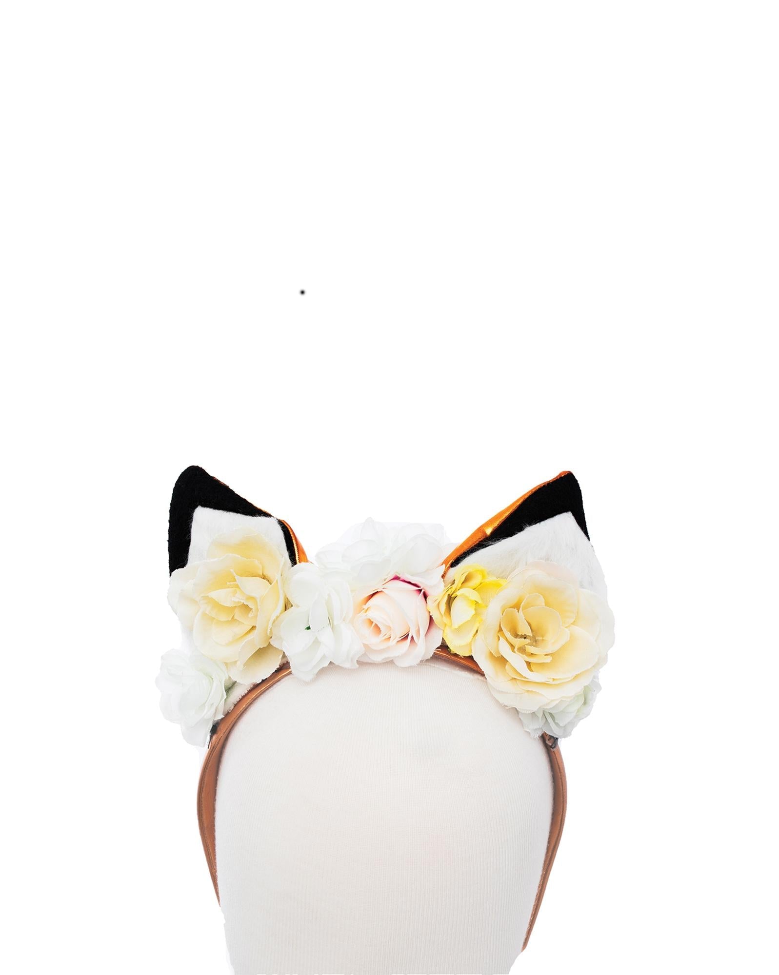 Princesse renard 5-6 ans