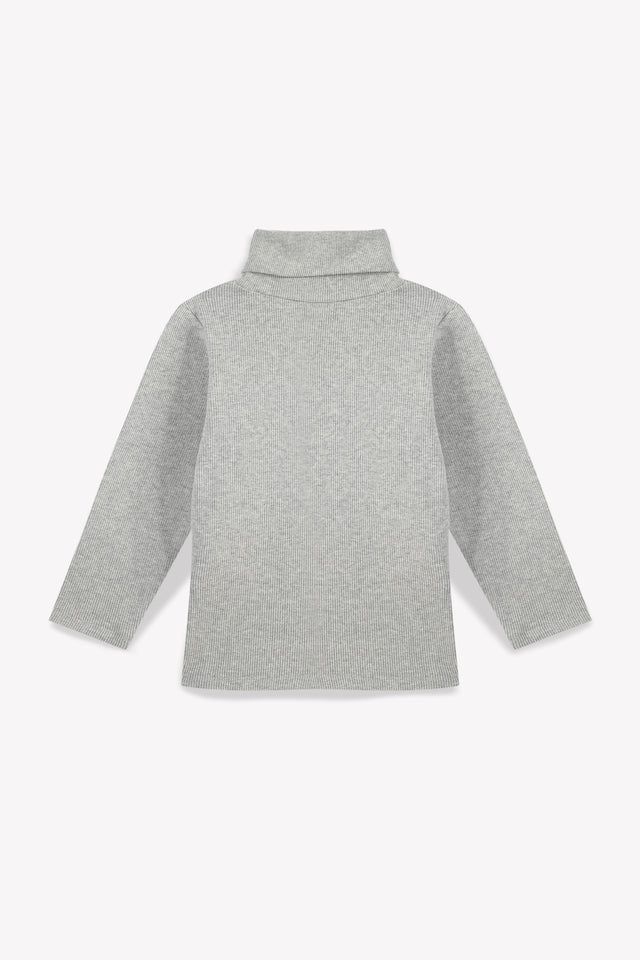 Collar - Rolled Titouv Grey In 100% organic cotton - Image principale